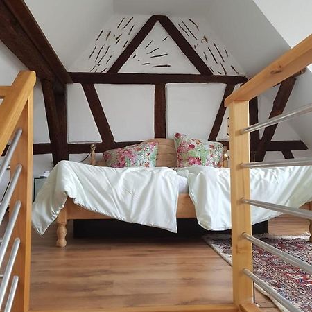 Rheingau - Schoene Moeblierte Ferienwohnung Eltville am Rhein Dış mekan fotoğraf