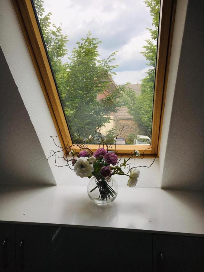 Rheingau - Schoene Moeblierte Ferienwohnung Eltville am Rhein Dış mekan fotoğraf