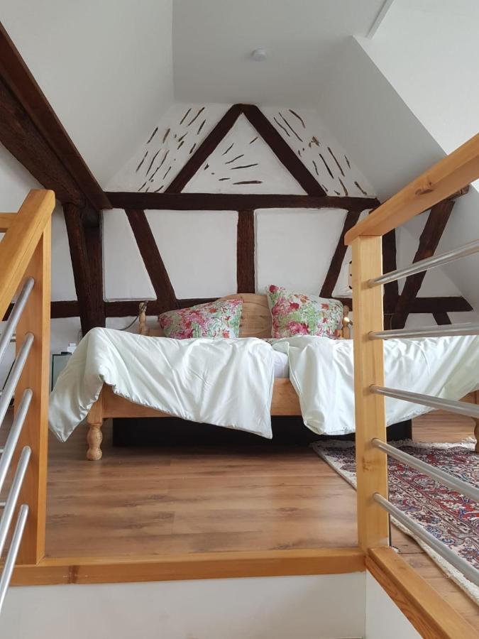 Rheingau - Schoene Moeblierte Ferienwohnung Eltville am Rhein Dış mekan fotoğraf